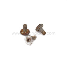 Screws for SAFE.door regulators for Ferrari 250 / 275 / 330